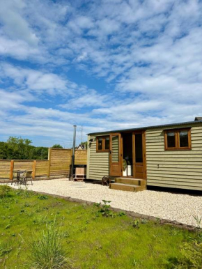 Lintmill Lodges - Thistle Shepherds Hut